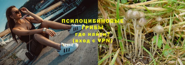 стаф Магадан