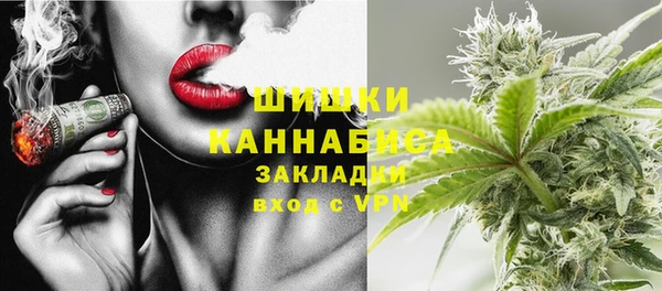 мдпв Майский