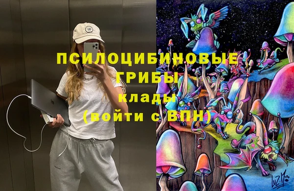 мдпв Майский