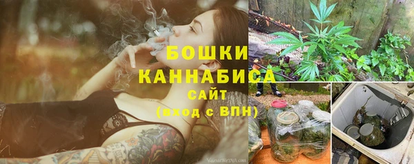 стаф Магадан
