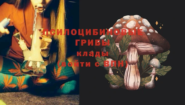 стаф Магадан