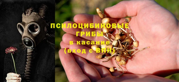 стаф Магадан