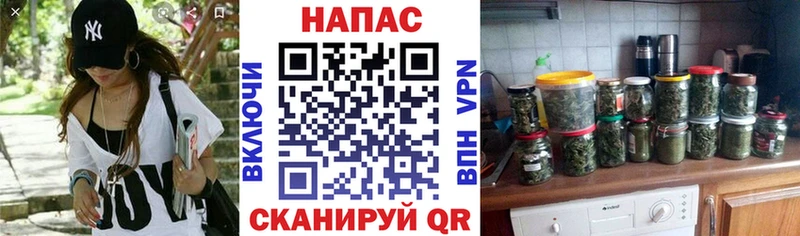Бошки Шишки ГИДРОПОН  Сергач 